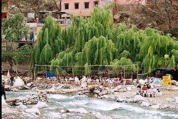 Day Trip to Ourika Valley from Marrakech with Cultural Insights