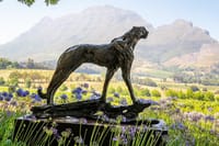 South Africa Cape Winelands Full Day Private Tour 5