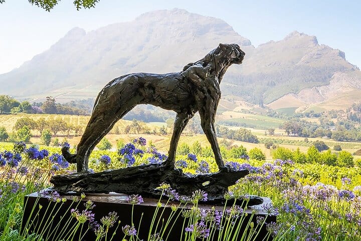 South Africa Cape Winelands Full Day Private Tour 5