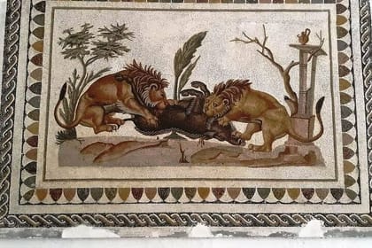 7-Day Guided Tour of Tunisia with accommodation and meals included