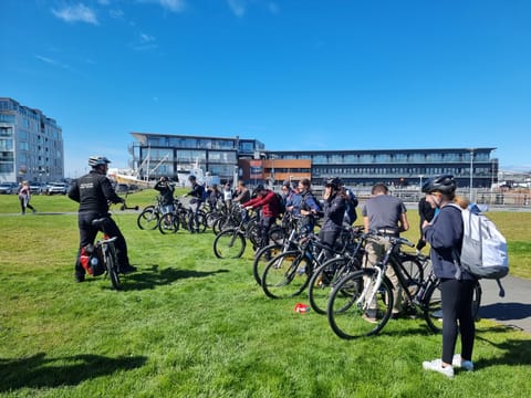Nature of Reykjavik Private Bike Tour, photo 4