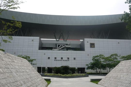 Shenzhen Private Day Tour to Dafeng Village, Shenzhen Museum and more