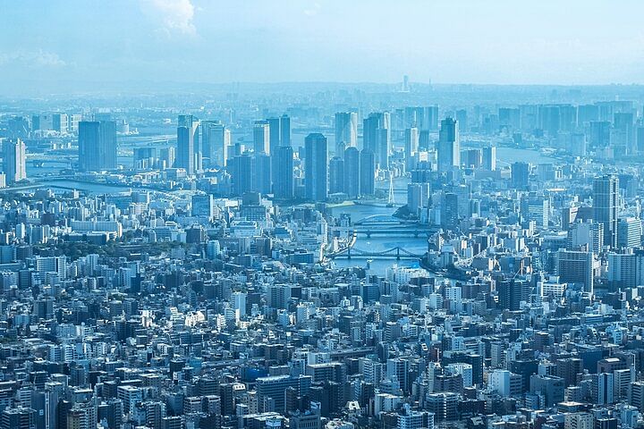 Full Day Tokyo Private Tour by Luxury Vehicle