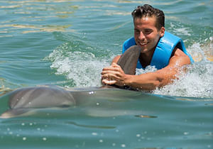 Dolphin Ride Riviera Maya