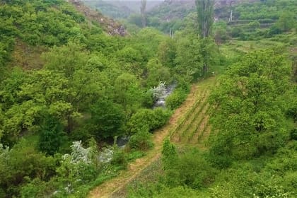 Dzama Gorge Jeep Tour from Tbilisi: Bateti Lake & Ruisi