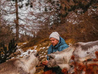 From Antlers to Ancestors: East Iceland's Reindeer and History Tour, photo 8