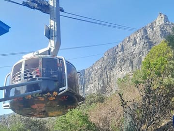 Wine Tasting Tour at Groot Constantia and Table Mountain Garden