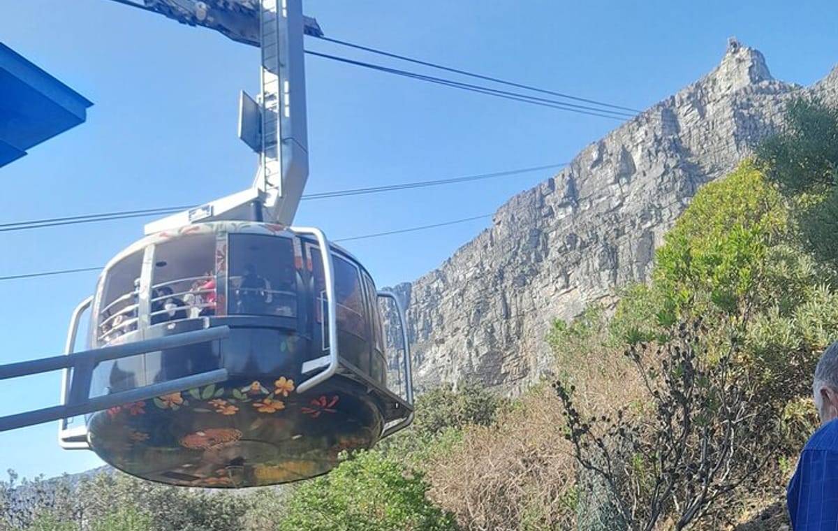 Table Mountain Botanical Garden Wine Tasting at Groot Constantia
