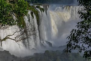 Iguassu Falls Brazilian Side & Bird Park & Macuco - Exclusive Gran Meliá Iguazú