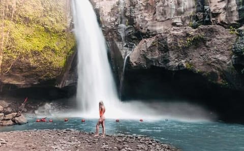 Ubud and Tanah Lot Sunset Tour in Bali