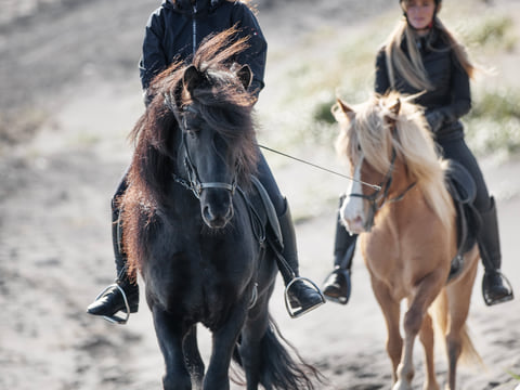 2 Hour Private Horsebackriding - Incredible opportunity to explore the enchanting landscapes while riding on a well-trained Icelandic horses