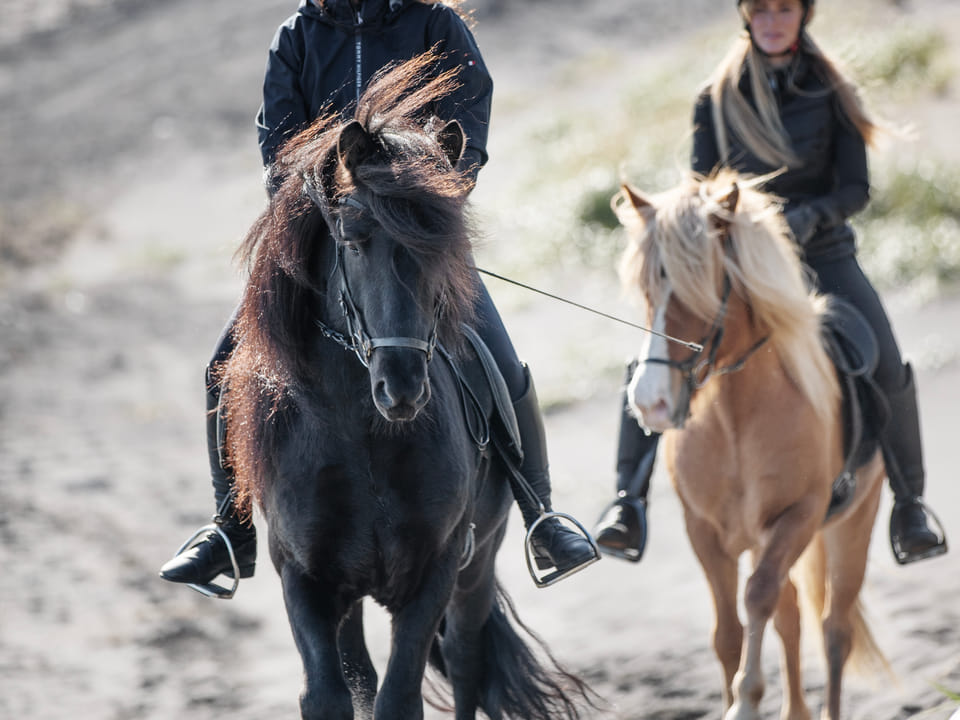 2 Hour Private Horsebackriding - Incredible opportunity to explore the enchanting landscapes while riding on a well-trained Icelandic horses — Icee - Icelandic Equestrian Experience
