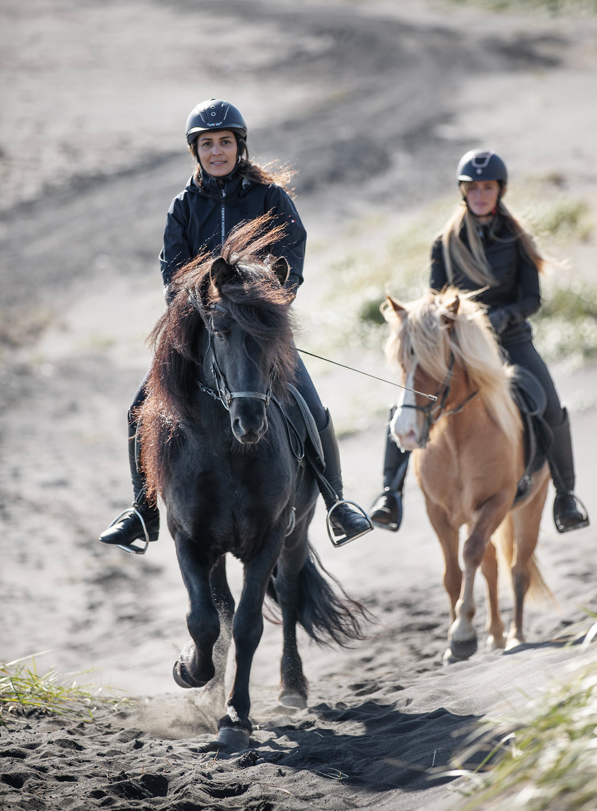 2 Hour Private Horsebackriding - Incredible opportunity to explore the enchanting landscapes while riding on a well-trained Icelandic horses, by Icee - Icelandic Equestrian Experience