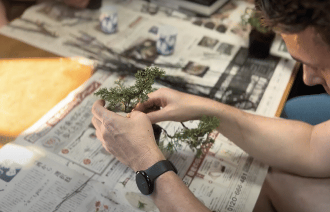 Make Your Own Bonsai with a Professional Bonsai Artist in Tokyo photo 4
