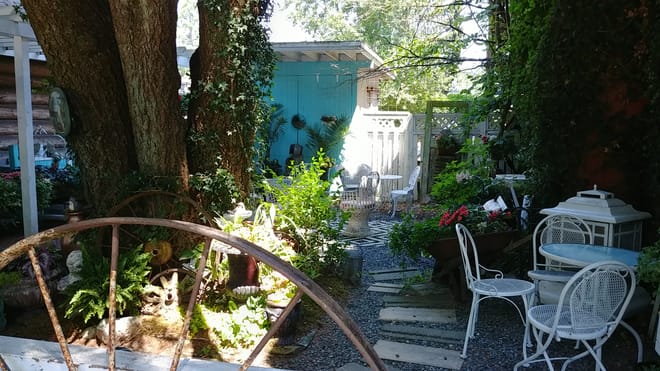 Fort Langley Magical Mystery & Vineyard Explorer Private Tour 7