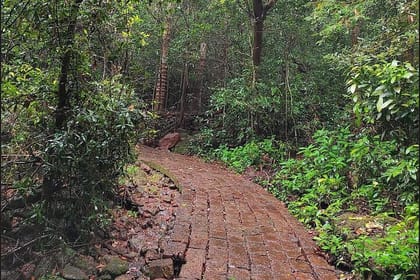 Pune to Goa: Wildlife Safari and Beach Retreat