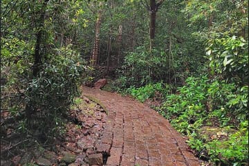 Wildlife Safari and Beach Retreat from Pune to Goa