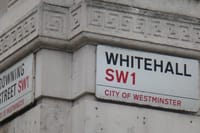 Half Day Private London Tour with Horse Guards Parade 10