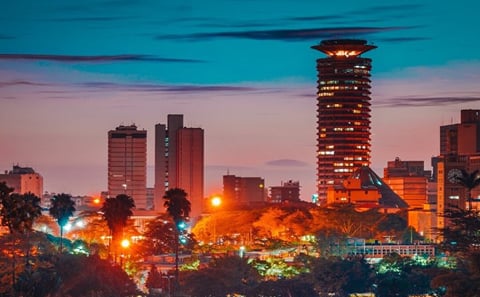 Nairobi Airport Layover Tour with National Park & Giraffe Centre