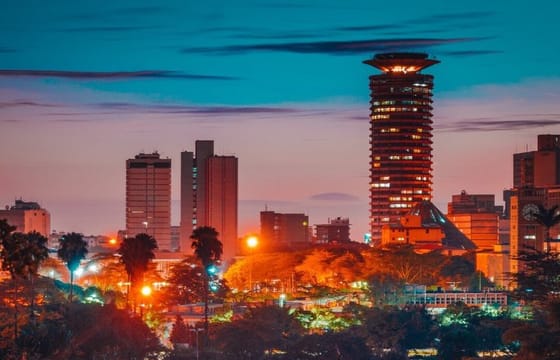 Nairobi Airport Layover Tour with National Park & Giraffe Centre