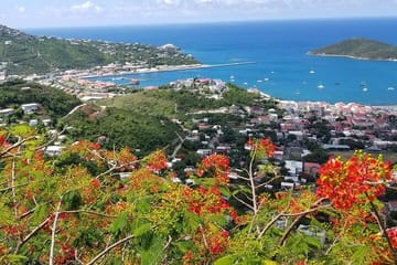 Scenic Skyline Drive and Beach Tour in Charlotte Amalie