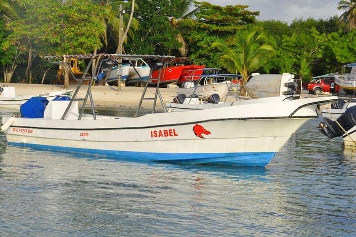 5 tours in 1 (Eco Farm/Horseback/City Tour/Buggy/Zipline)