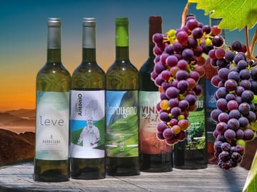 4x4 Adventure and Wine Tour in Camara De Lobos, Portugal