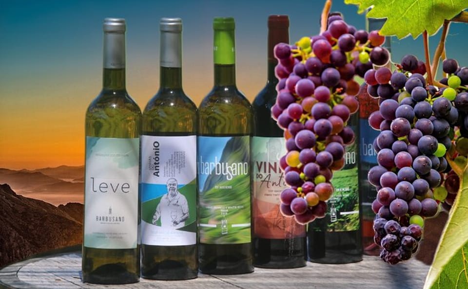 4x4 Adventure and Wine Tour in Camara De Lobos, Portugal