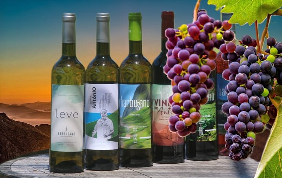 4x4 Adventure and Wine Tour in Camara De Lobos, Portugal