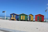 Swim with Penguins At Boulders Chapman's Peak Exc Entry Fees 9