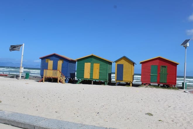Swim with Penguins At Boulders Chapman's Peak Exc Entry Fees 9