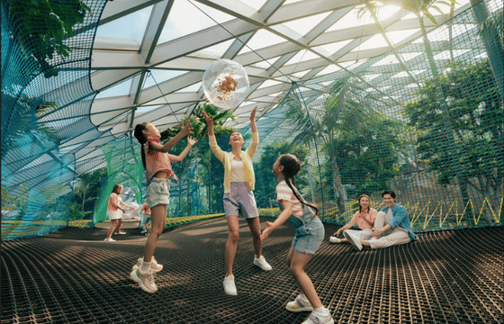 Jewel Changi Airport: Canopy Park Admission Ticket