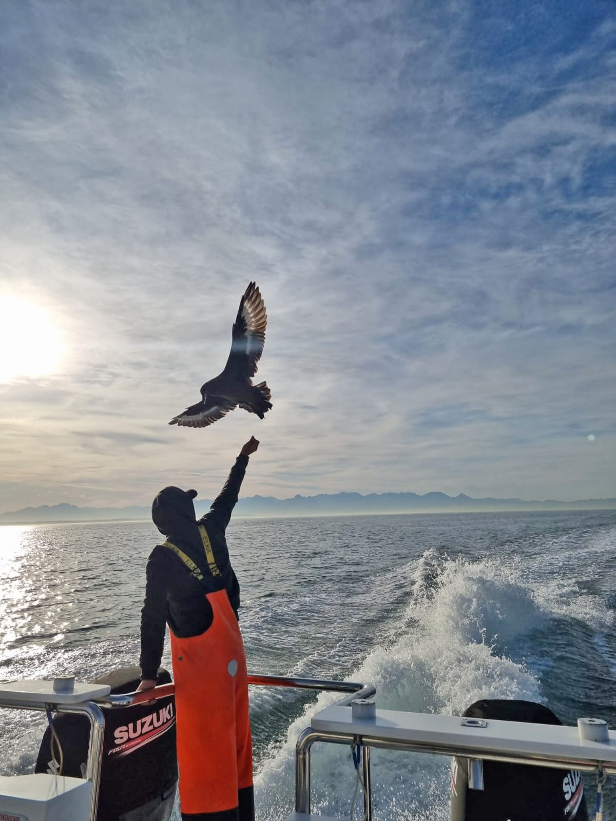 Blue-sky cruising conditions over the bay on a relaxed, nature-first voyage.