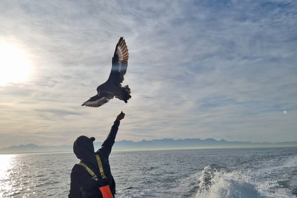 Blue-sky cruising conditions over the bay on a relaxed, nature-first voyage.