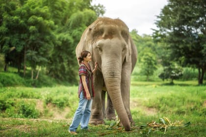 Phuket: Jumbo Elephant Program