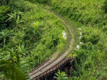 ella-day-tour-with-train-ride-3
