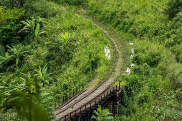 Ella Day Tour with Scenic Train Ride from Kandy
