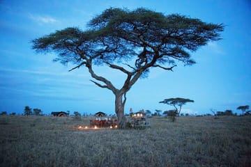 5-Day Safari and ATV Adventure in Arusha, Tanzania