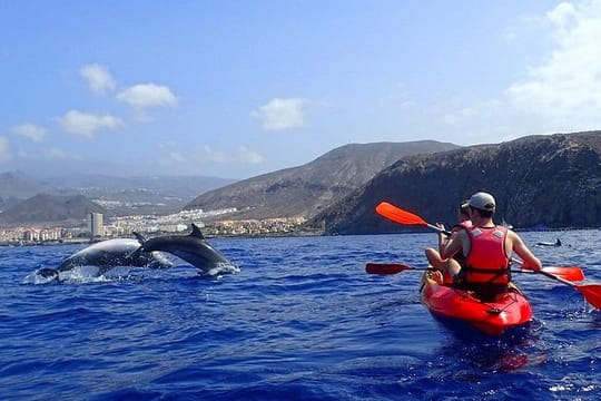 Kayaking, Snorkeling & Swimming 