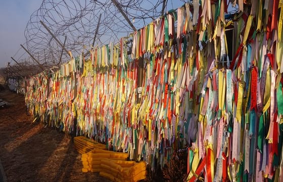 Half Day Korea DMZ Tour/ opt: suspension bridge
