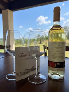 Discover Italian Wines: Exclusive 6 Wine Tastings at Tenuta La Viola
