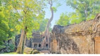 The Image at the Temple of Ta Prohm 