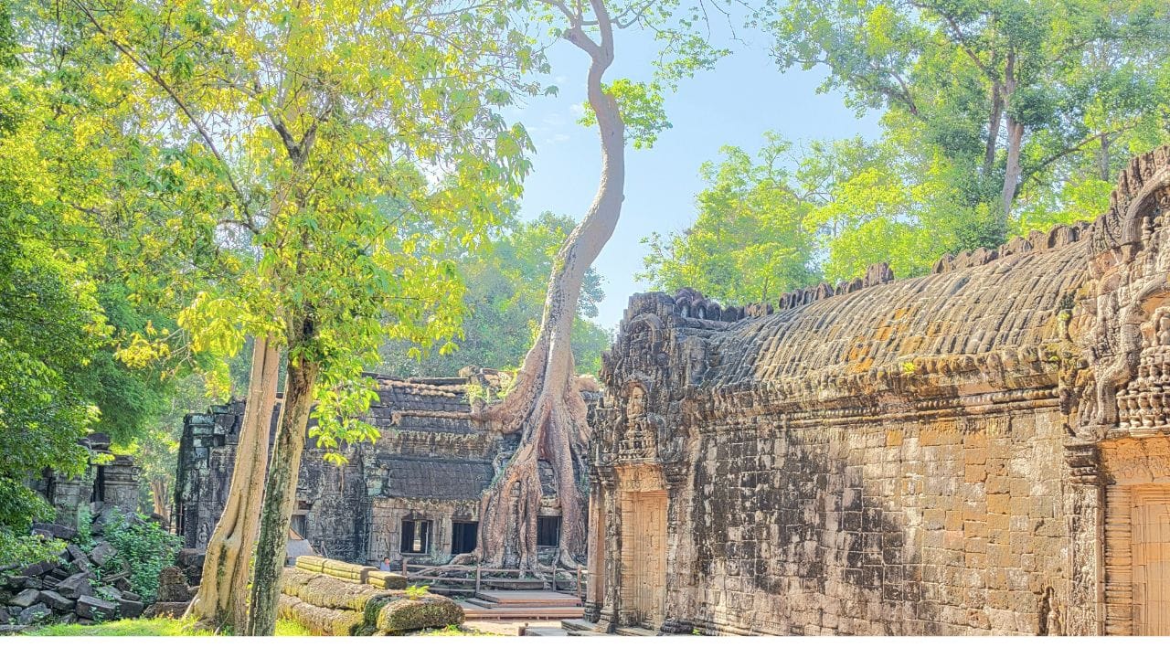 The Image at the Temple of Ta Prohm 