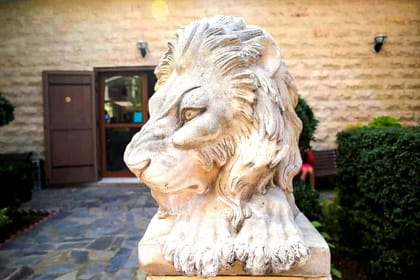 Troodos Mountains Day Trip from Paphos with Wine Tasting