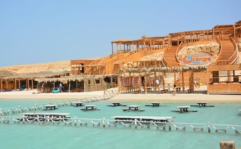 Snorkeling Day Trip to Orange Bay Island from Hurghada