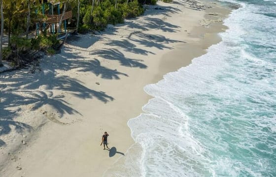 Tiger Shark Diving in Fuvahmulah:8 Days, 7 Nights 15 dives offer