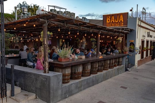 Cabo Art Walk & City Tour – Culture, History & Local Flavors