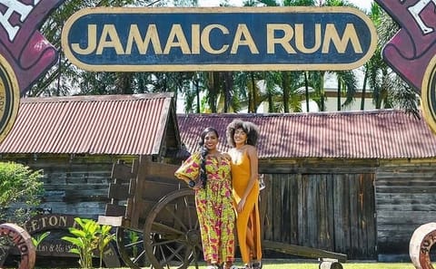Ys Falls and Appleton Estate Tour in Montego Bay