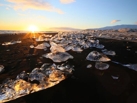 Jokulsarlon Glacier Lagoon, Diamond Beach & Blue Ice Cave from Hornafjörður Airport Small Group Tour, photo 4
