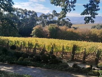 Table Mountain and Stellenbosch Wine Tasting Private Tour
